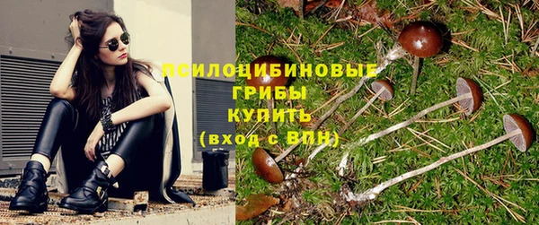 apvp Вуктыл